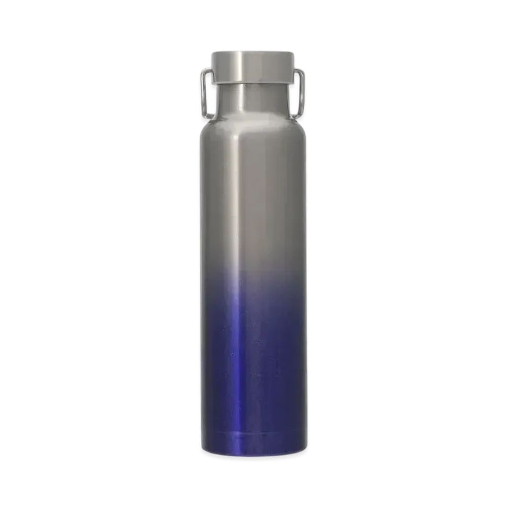 STARBUCKS Holidays 2024 Handle Lid Stainless Steel Bottle Gradient 680ml "Blue/Sirver"