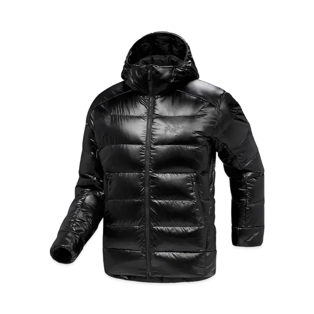 ARC'TERYX Cerium SV Hoody M "Black"