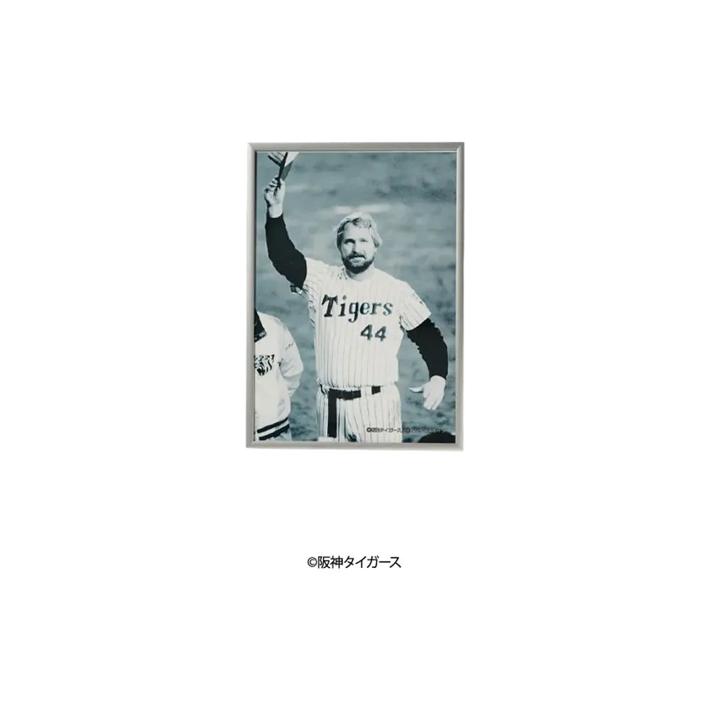 阪神タイガース90周年記念 \ SANKEI SPORTS TIGERS LEGENDS Photo Frame A4 ver. No.12 "MULTI"