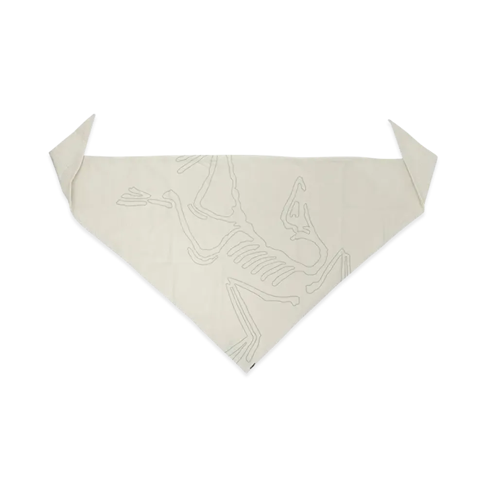 ARC'TERYX Sinsolo Bandana "Beige" X000010184