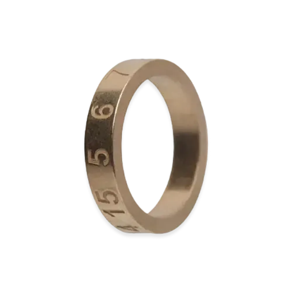 Maison Margiela Numbering Ring "Gold"
