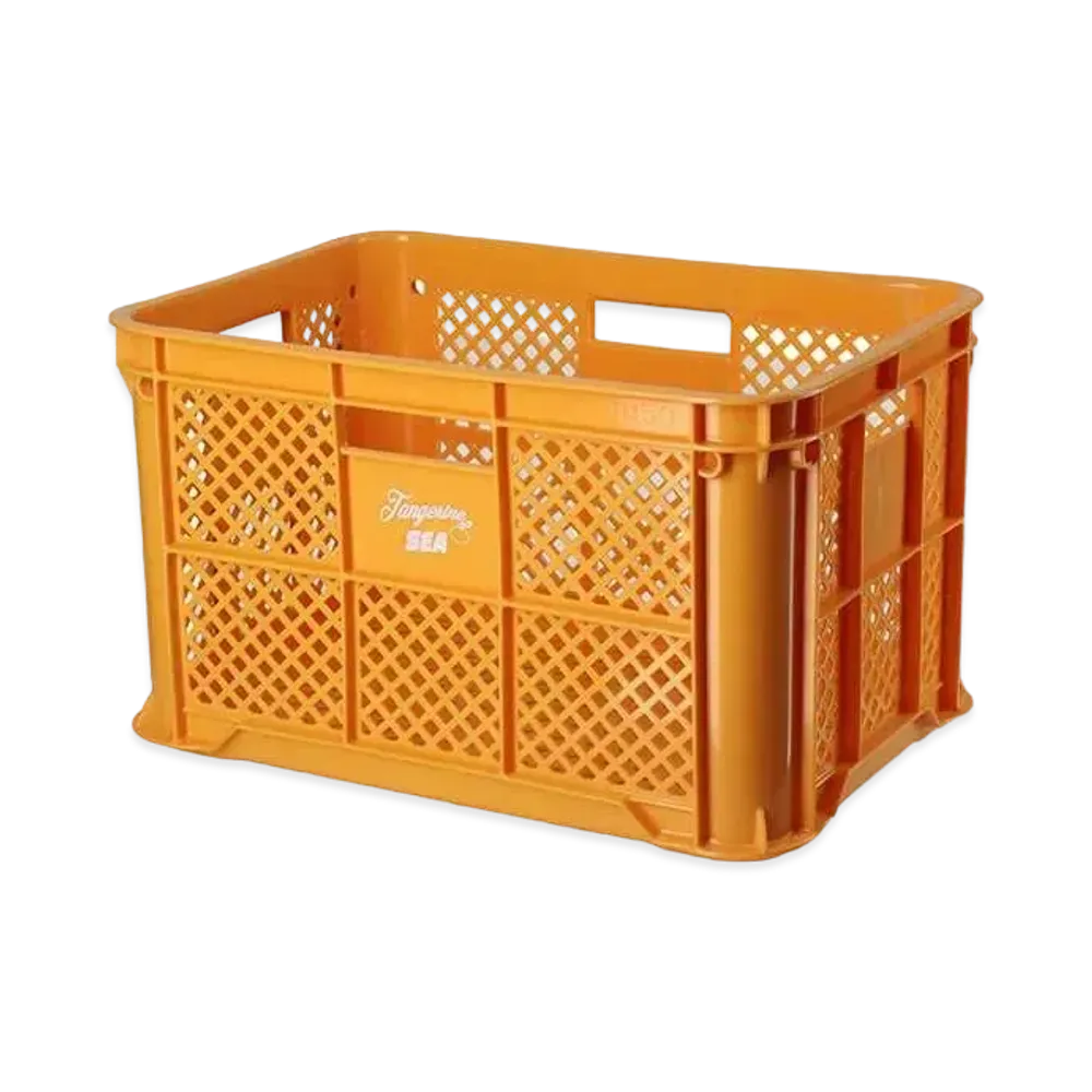 WIND AND SEA x Tangerine Container Box "Tangerine"