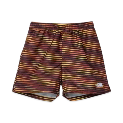 The North Face Kids Novelty Water Shorts "Smack Optical Stripe"