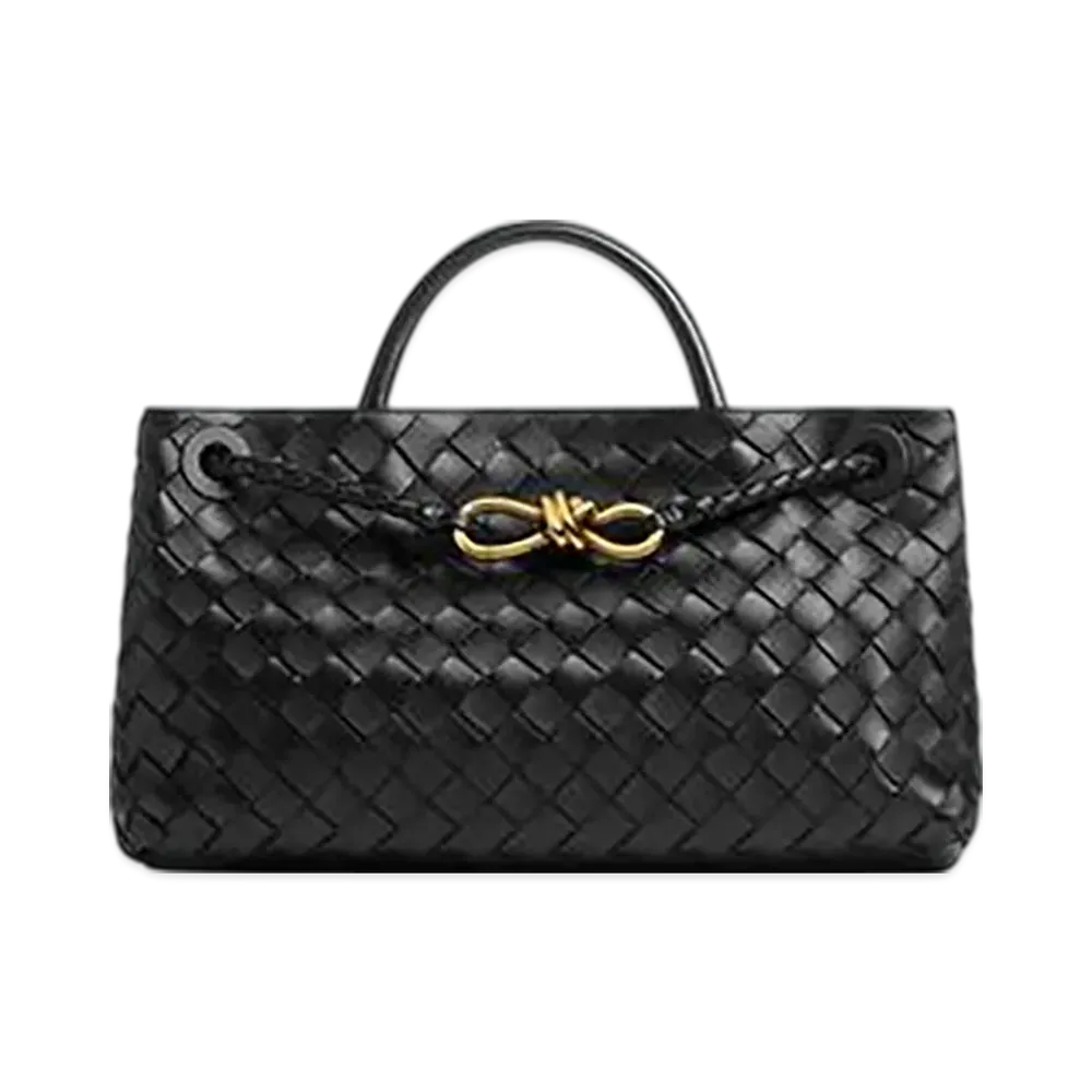 Bottega Veneta East-West Andiamo "Black"