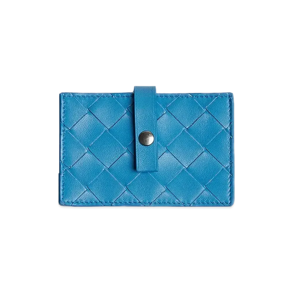 Bottega Veneta Multicard Holder "Swimming Pool"