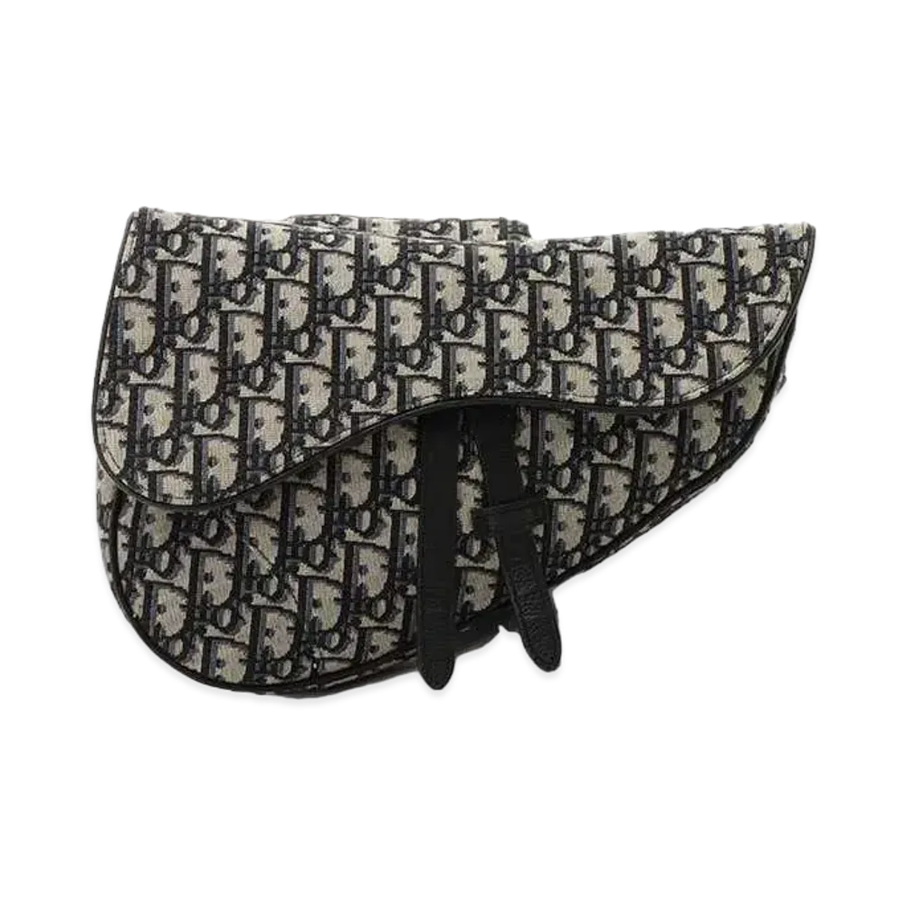 Dior Oblique Saddle Body Bag