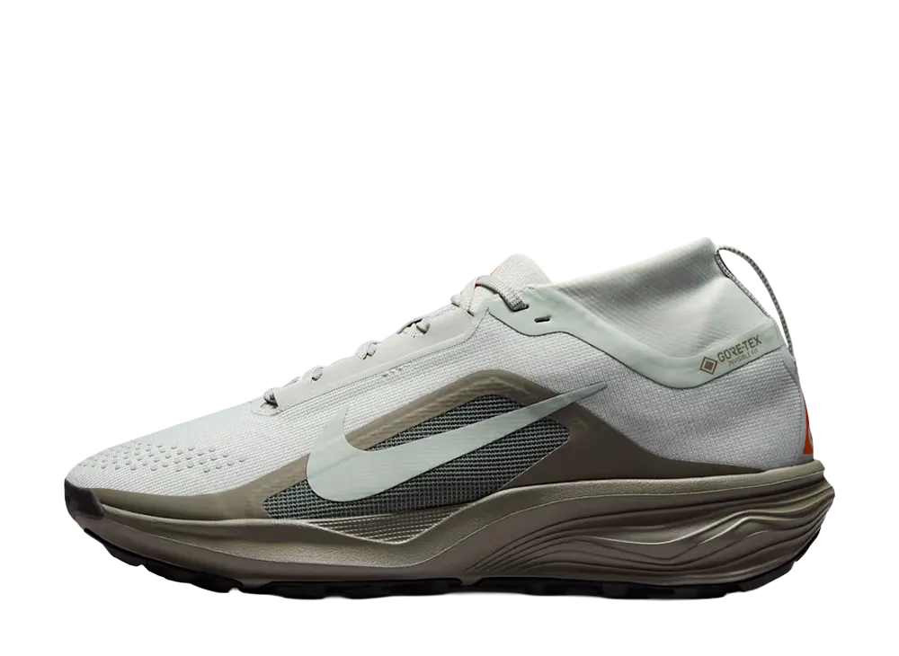 Nike ACG Pegasus Trail GORE-TEX "Light Silver/Light Army"