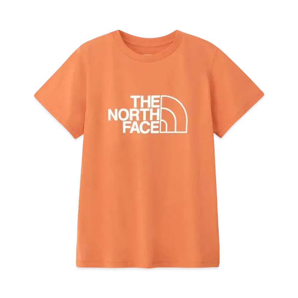 The North Face Short Sleeve ES Big Logo Tee "Faded Iron Bronze"