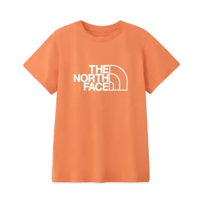 The North Face Short Sleeve ES Big Logo Tee "Faded Iron Bronze"