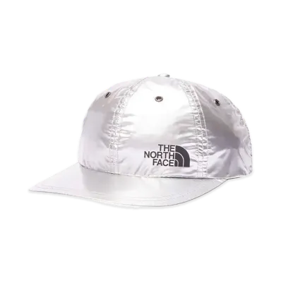 Supreme x The North Face Metallic 6-Panel "Silver"