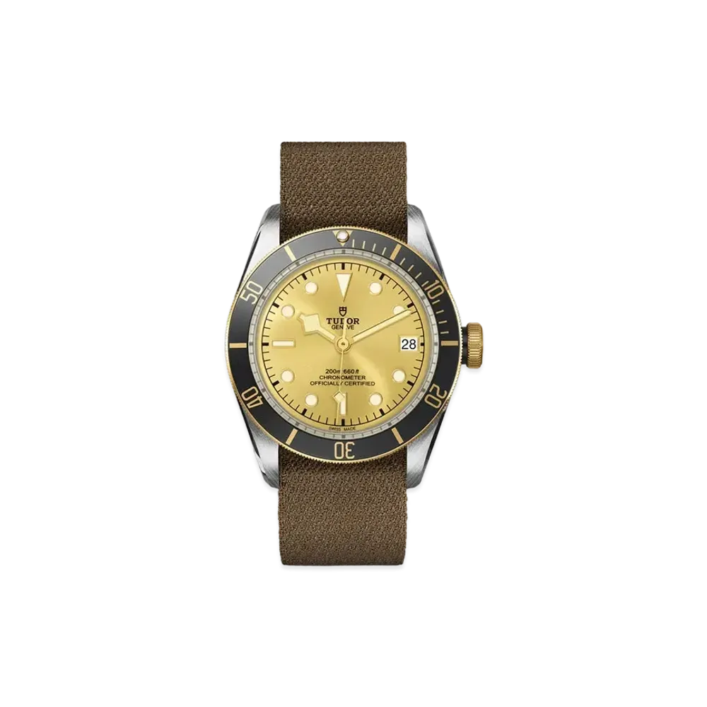 TUDOR BLACK BAY S&G