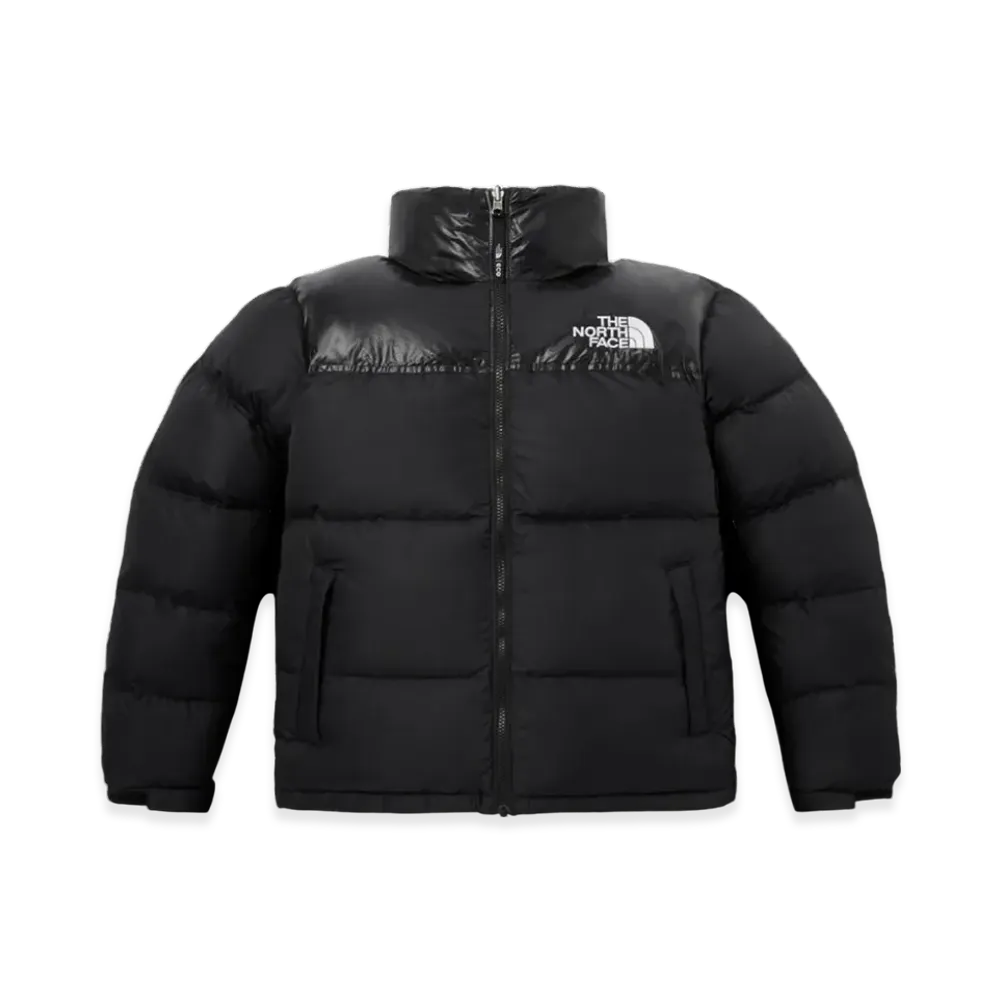 The North Face 1996 Eco Blue Nuptse Jacket "Black"