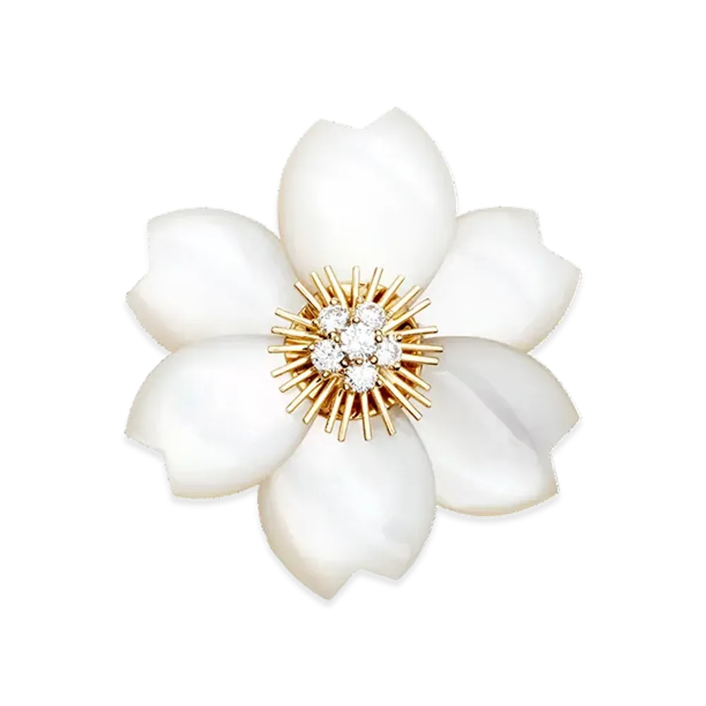 Van Cleef & Arpels Rose de Noel clip medium model "18K Yellow gold/Diamond/Mother-of-pearl"