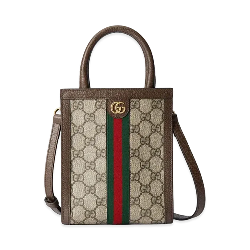 GUCCI Women's Cruise Bags "Printed/Brown"