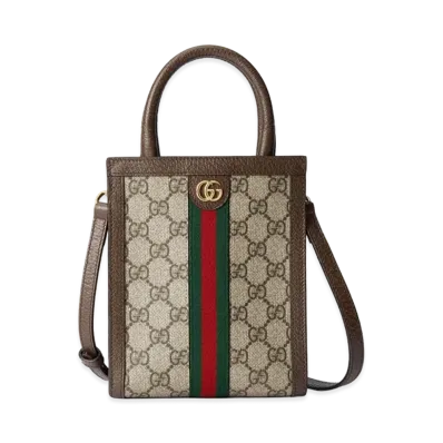 GUCCI Women's Cruise Bags "Printed/Brown"