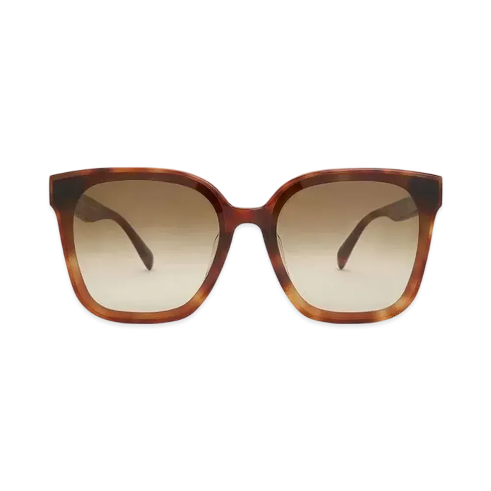 CHARLES & KEITH Gavine Oversized Butterfly Sunglasses "T.Shell"