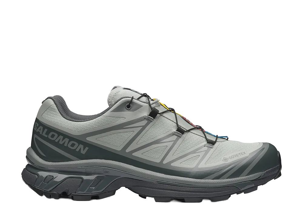 Salomon XT-6 GORE-TEX "Wrought Iron/Urban Chic"