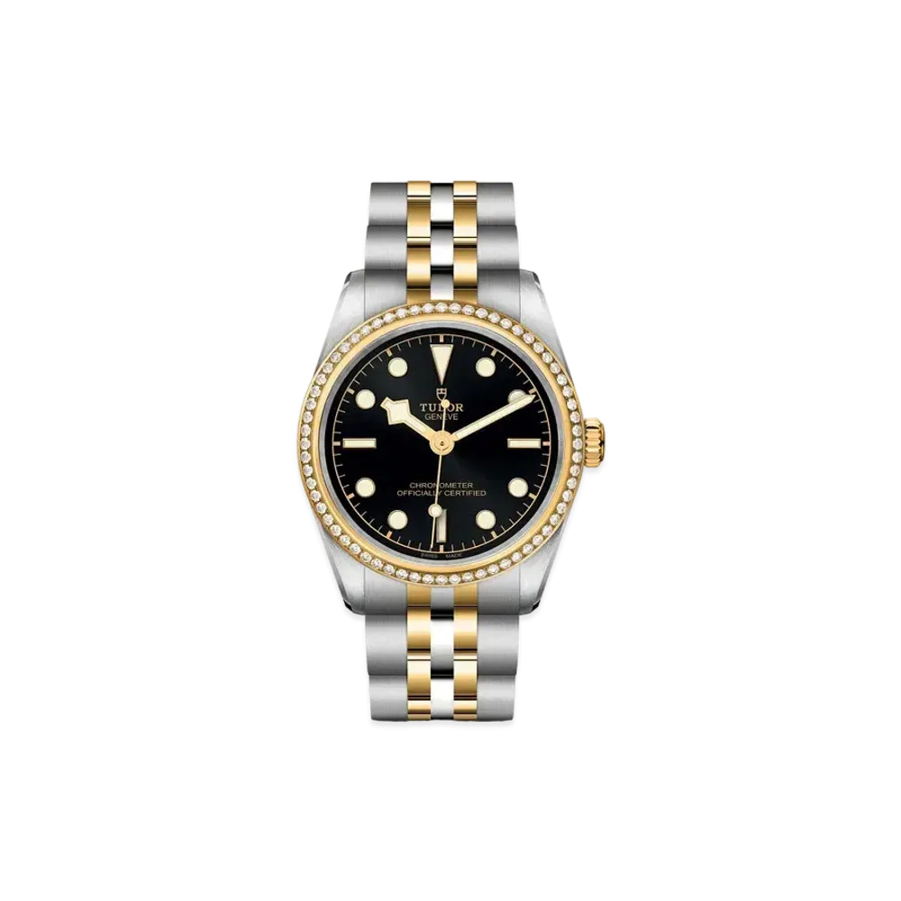 TUDOR BLACK BAY 31 S&G