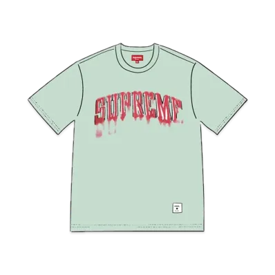 Supreme Blurred Arc S/S Top "Pale Green"