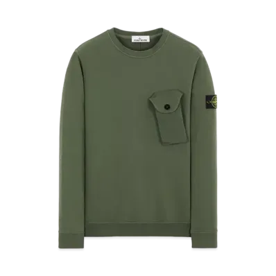 Stone Island 60419 BRUSHED COTTON FLEECE "Sage Green"