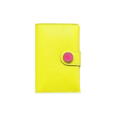 Hermes RMS Evercolor "Lime/Rose Azale/Lacquer Silver"
