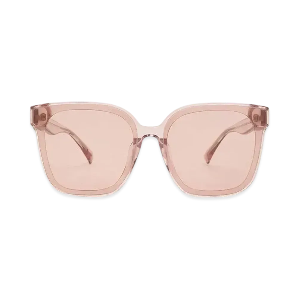 CHARLES & KEITH Gavine Oversized Butterfly Sunglasses "Pink"