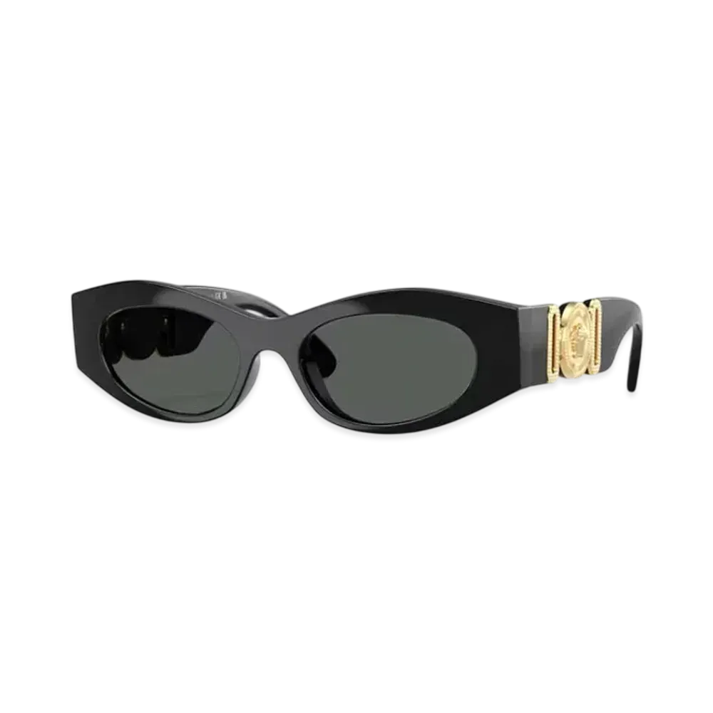 Versace Medusa Biggie Cat-Eye Sunglasses "Black/Gold"