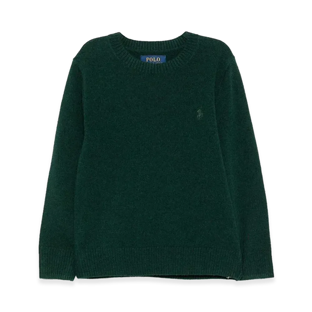 Polo Ralph Lauren Kids L/S Cn Tonal Sweater Pullover "Green"