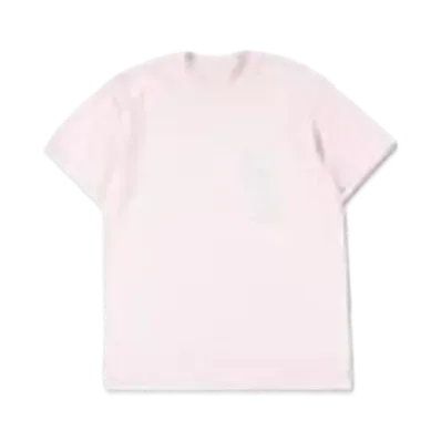 WIND AND SEA T-Shirt "Peach/Gray"