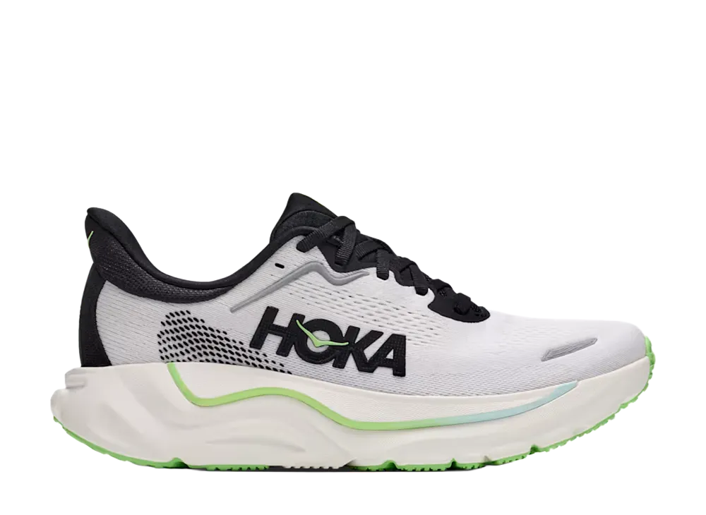 Hoka Arahi 9 "Frost/Black"