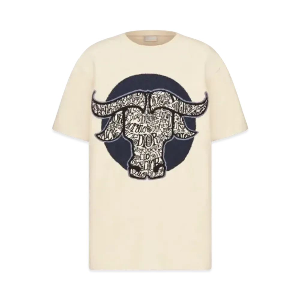 Dior x Shawn Stussy Oversized T-Shirt (SS21) "White"