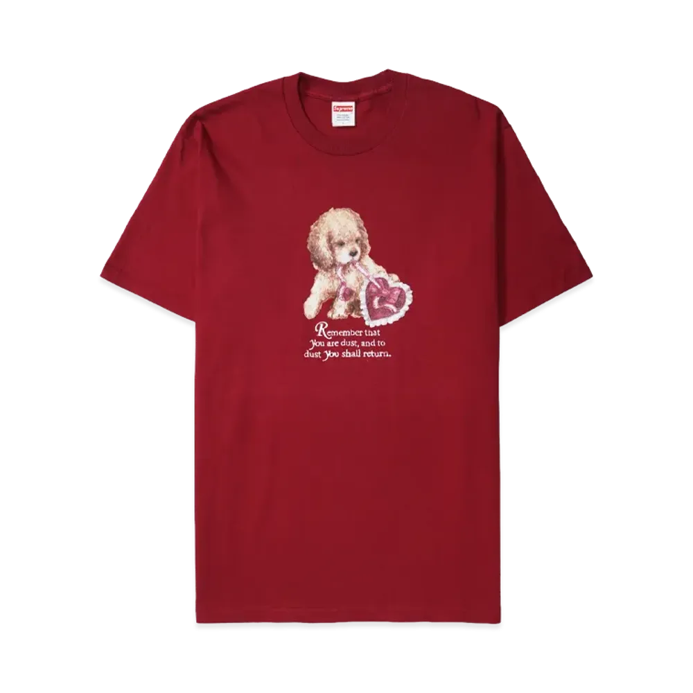 Supreme Dust Tee 