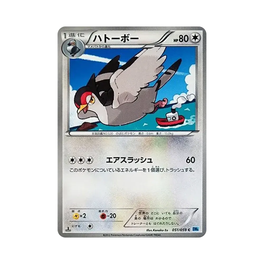 波波鴿