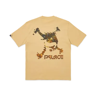 PALACE OAKLEY T-Shirt "Sand"