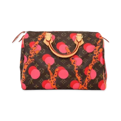 Louis Vuitton Speedy 30 Monogram Ramage