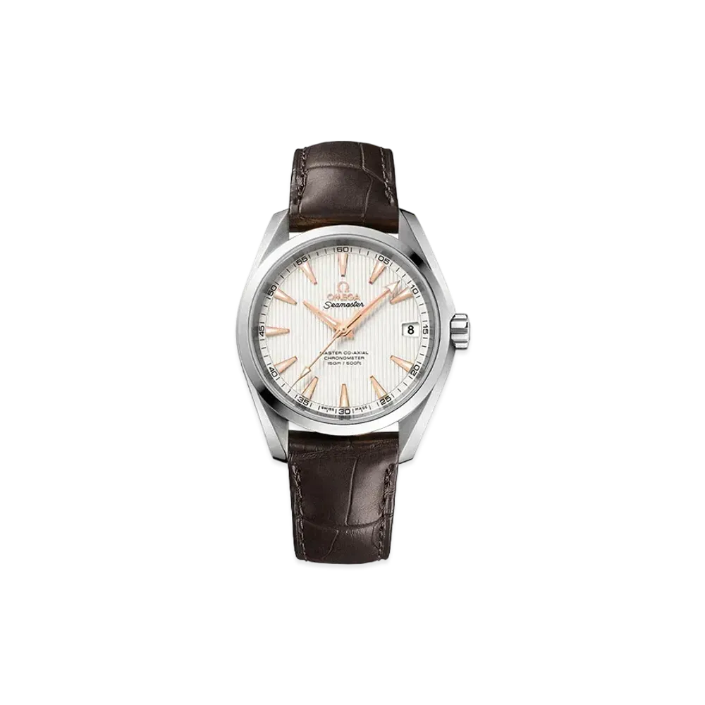 OMEGA Seamaster Aqua Terra Master Co-Axial Chronometer "Silver" 231.13.39.21.02.003