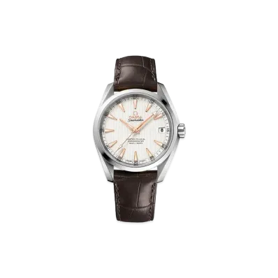 OMEGA Seamaster Aqua Terra Master Co-Axial Chronometer "Silver" 231.13.39.21.02.003