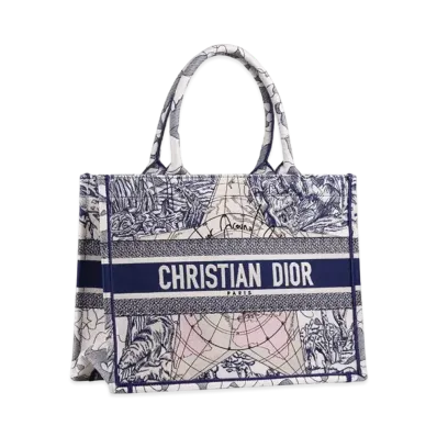 Dior Book Tote Bag "Light Blue/White"