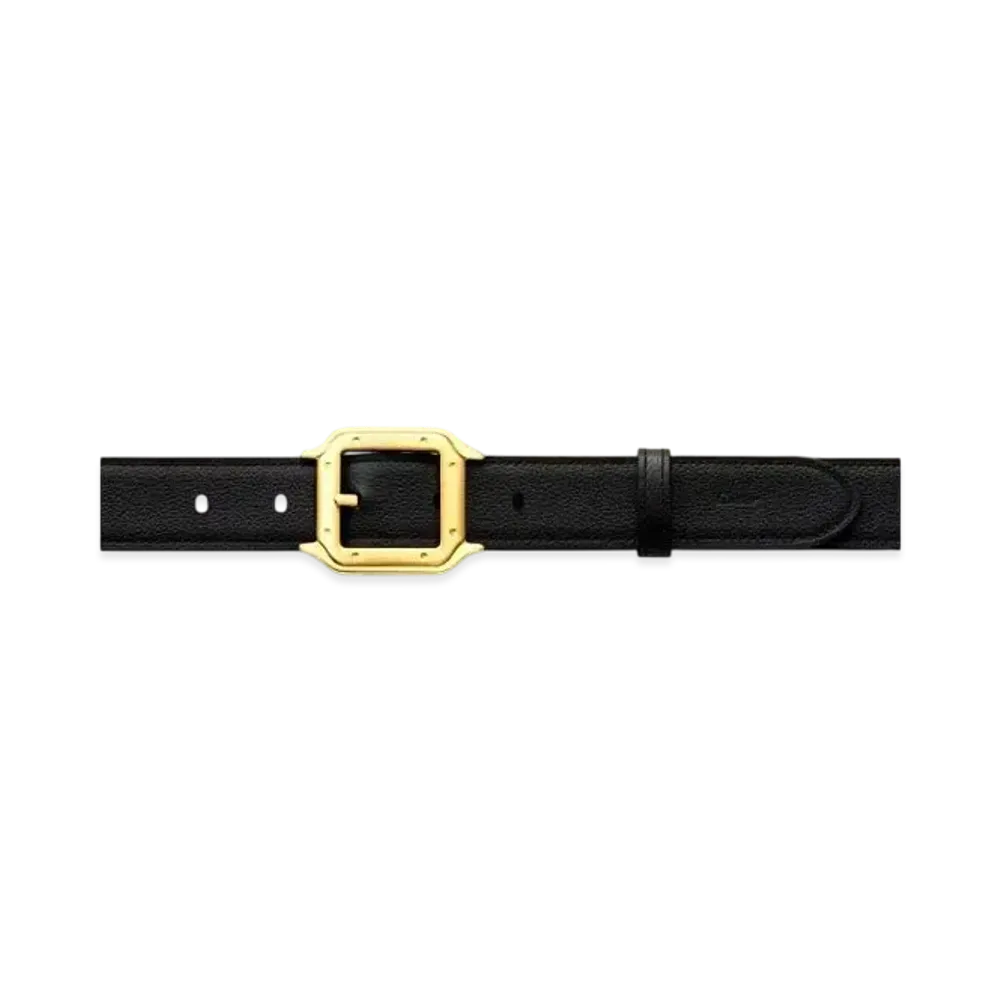 Cartier Belt, Santos de Cartier "Black/Brown/Gold"
