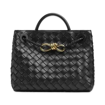 Bottega Veneta Small Andiamo Hand Bag "Black"