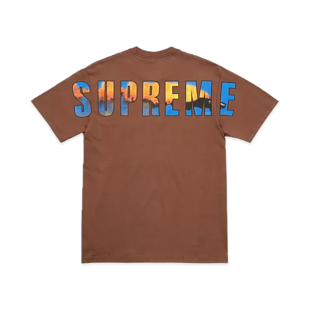 シュプリーム クラッシュ Tシャツ "ブラウン"