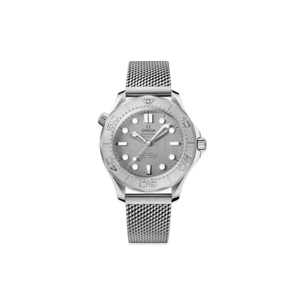 OMEGA Seamaster Diver 300M Co-Axial Master Chronometer 42MM "Stainless Steel/Gray" 210.30.42.20.06.002