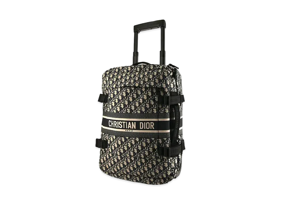Dior Dior Travel Small Suit Case