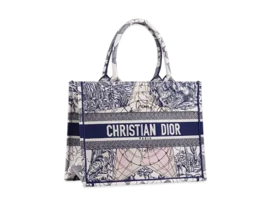 Dior Book Tote Bag "Light Blue/White"
