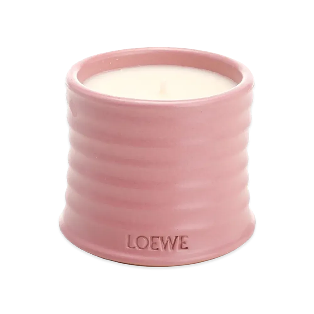 LOEWE Small Ivy Candle "Rose"