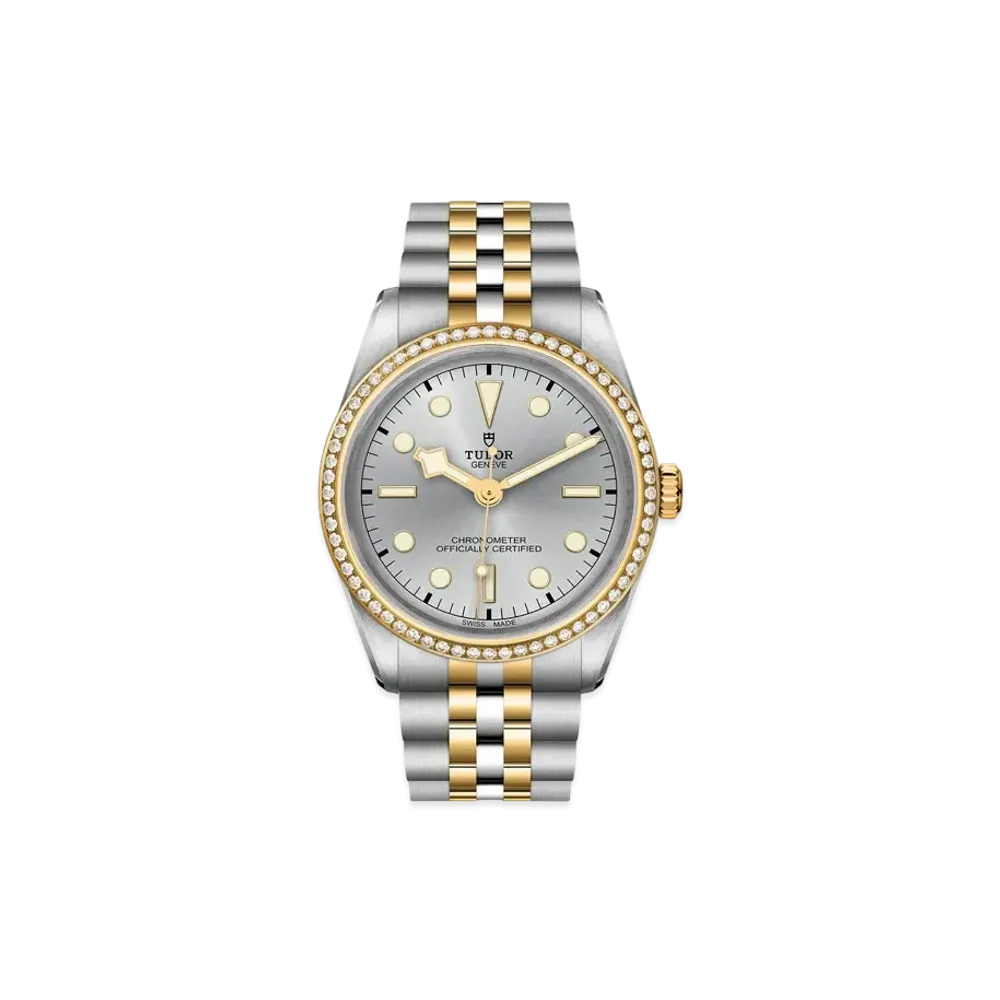 TUDOR BLACK BAY 36 S&G
