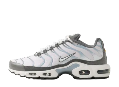 Nike Air Max Plus "Smoke Grey/Light Armory Blue"