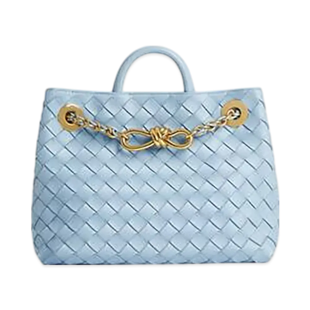Bottega Veneta Small Andiamo With Chain "Ice"