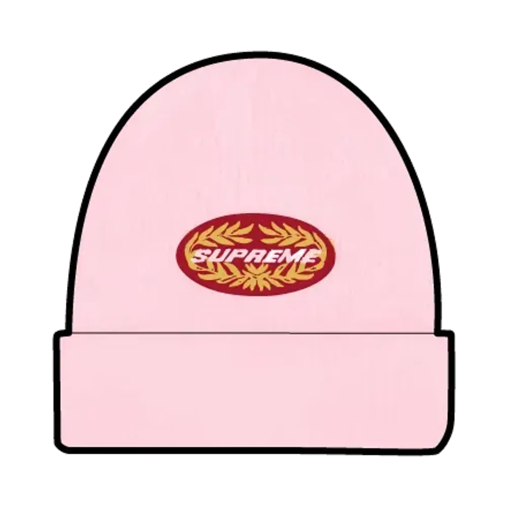 Supreme Terminal Beanie "Pink"
