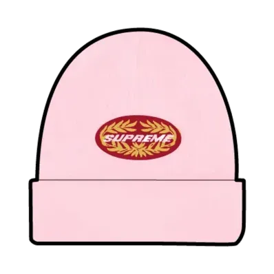 Supreme Terminal Beanie "Pink"